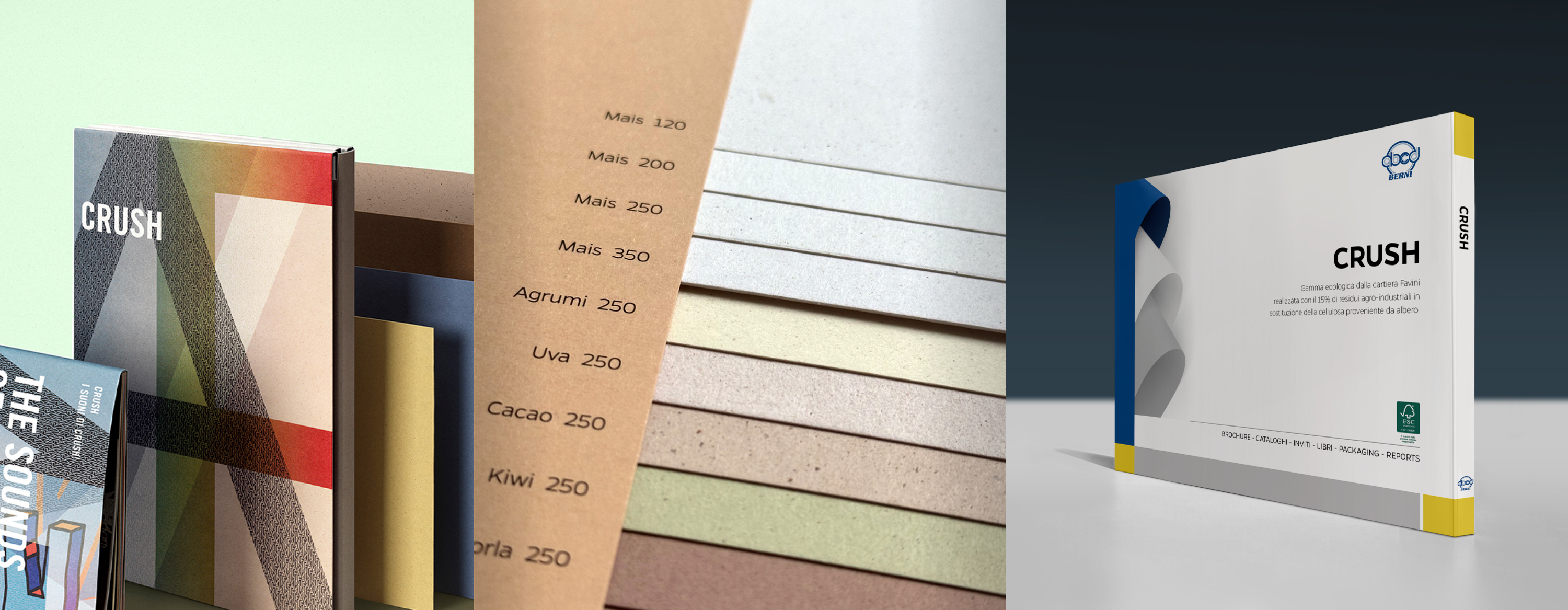 NUOVO CAMPIONARIO CRUSH